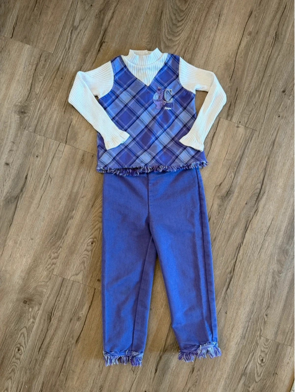 Y2K Vintage Sesame Street Cookie Monster outfit size 5t